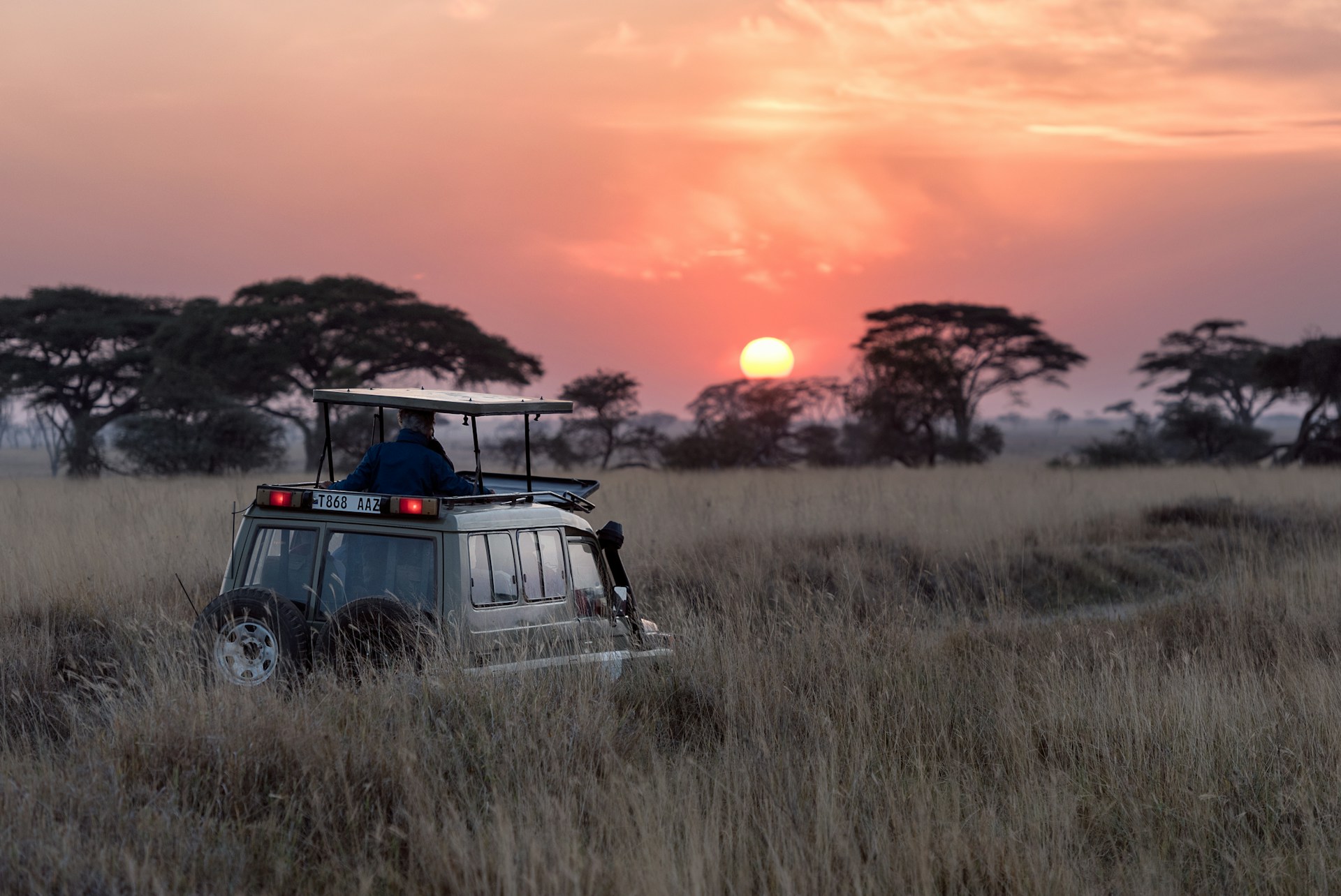 Masai Mara Migration Experience