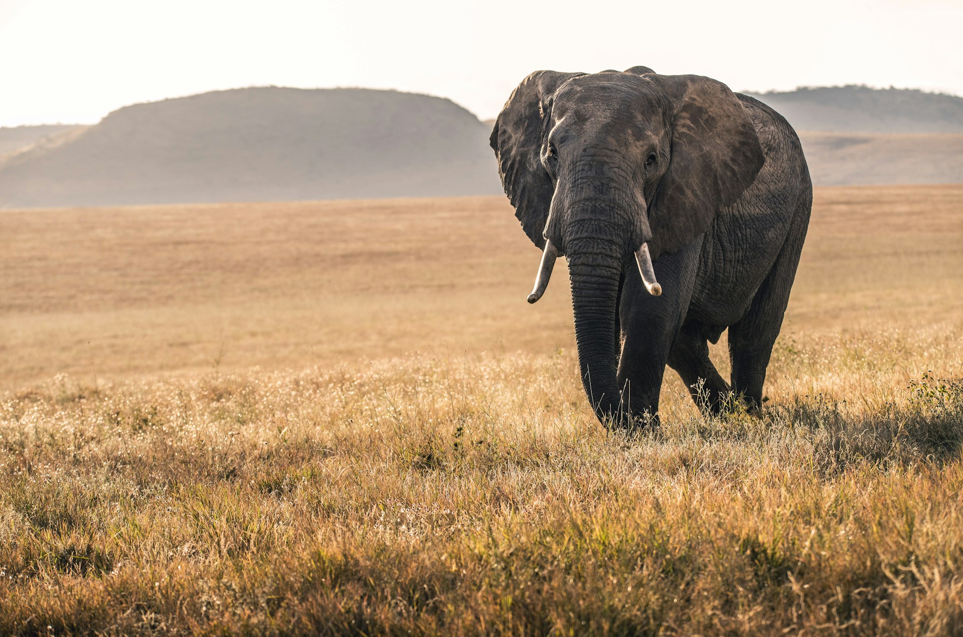 Kruger National Park