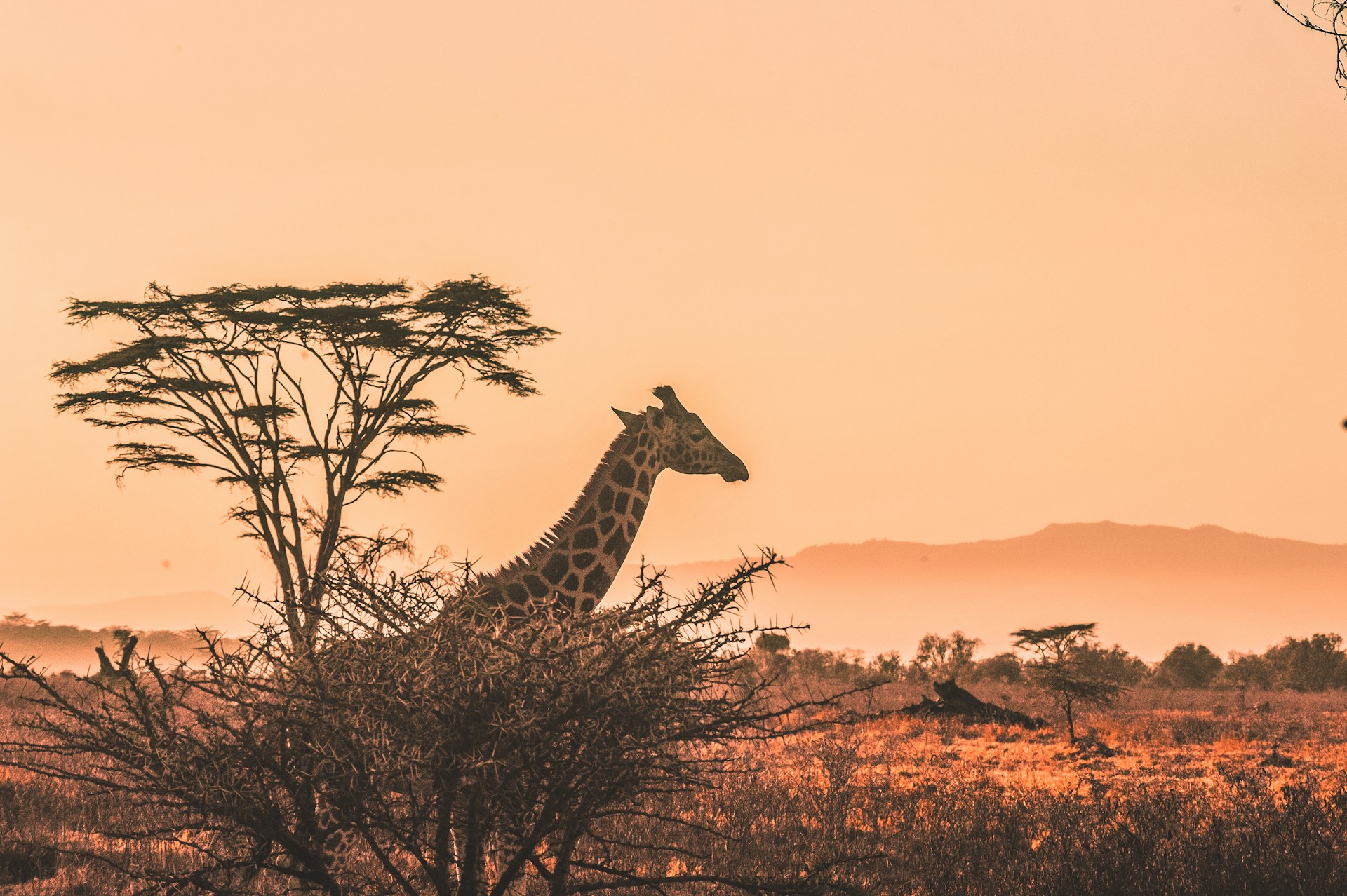 Serengeti National Park