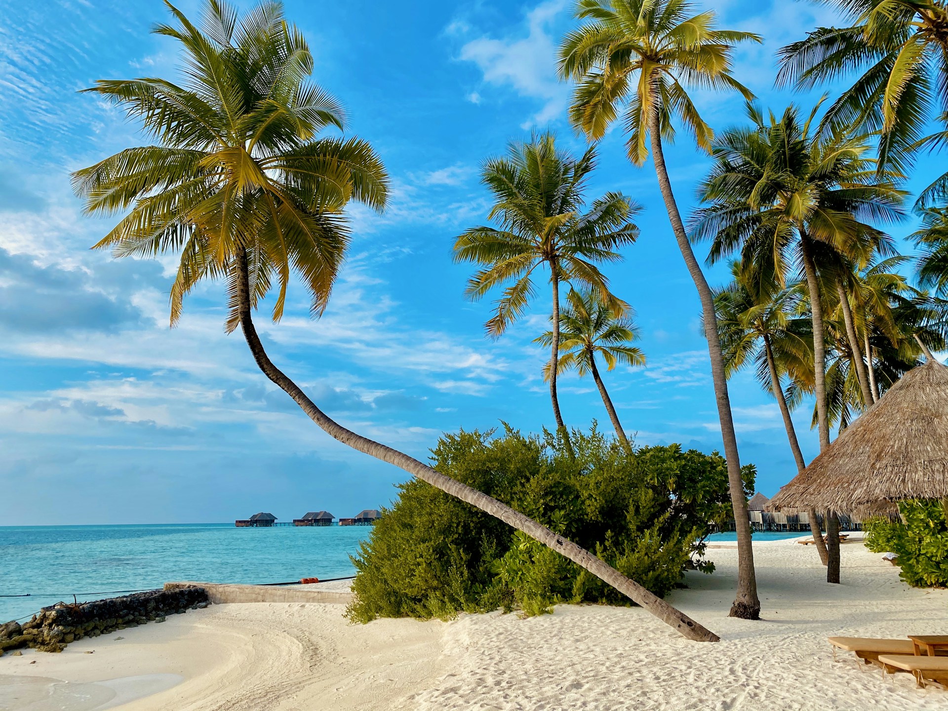 Zanzibar