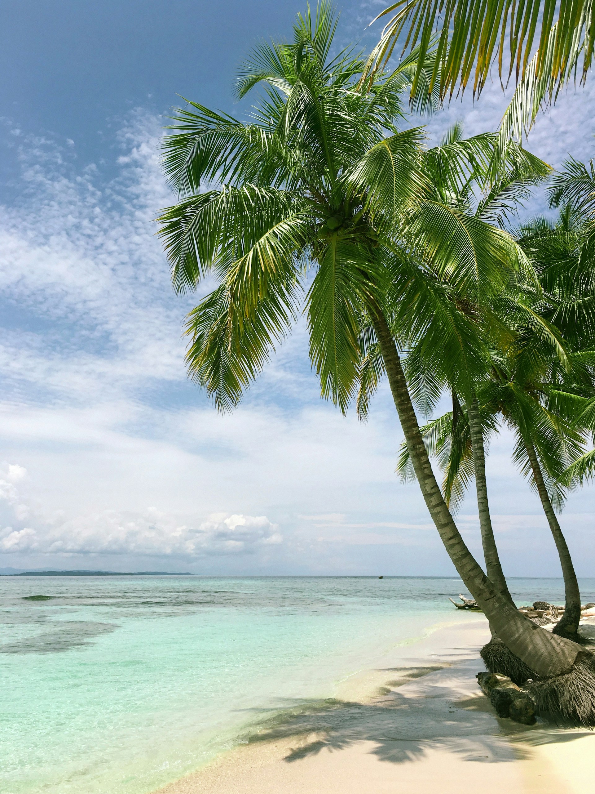 Diani Beach Escape